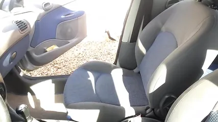 Транссексуал дрочит член в автомобиле