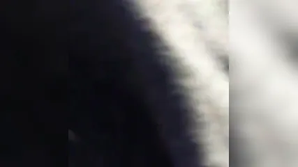 Брюнетка в машине старается и делает глубокий минет